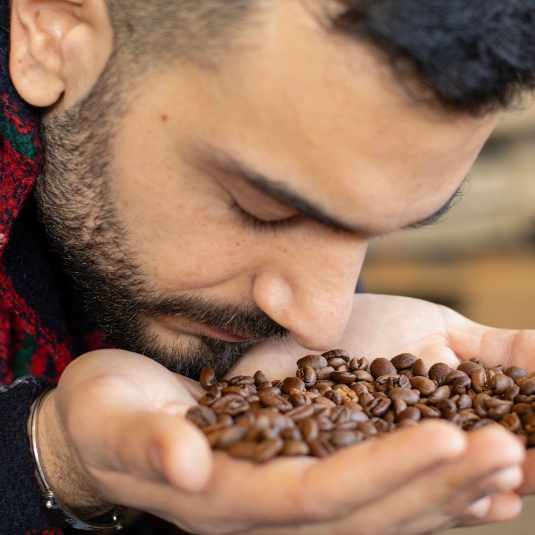 Barista Full Immersion + Open Your Coffee Shop