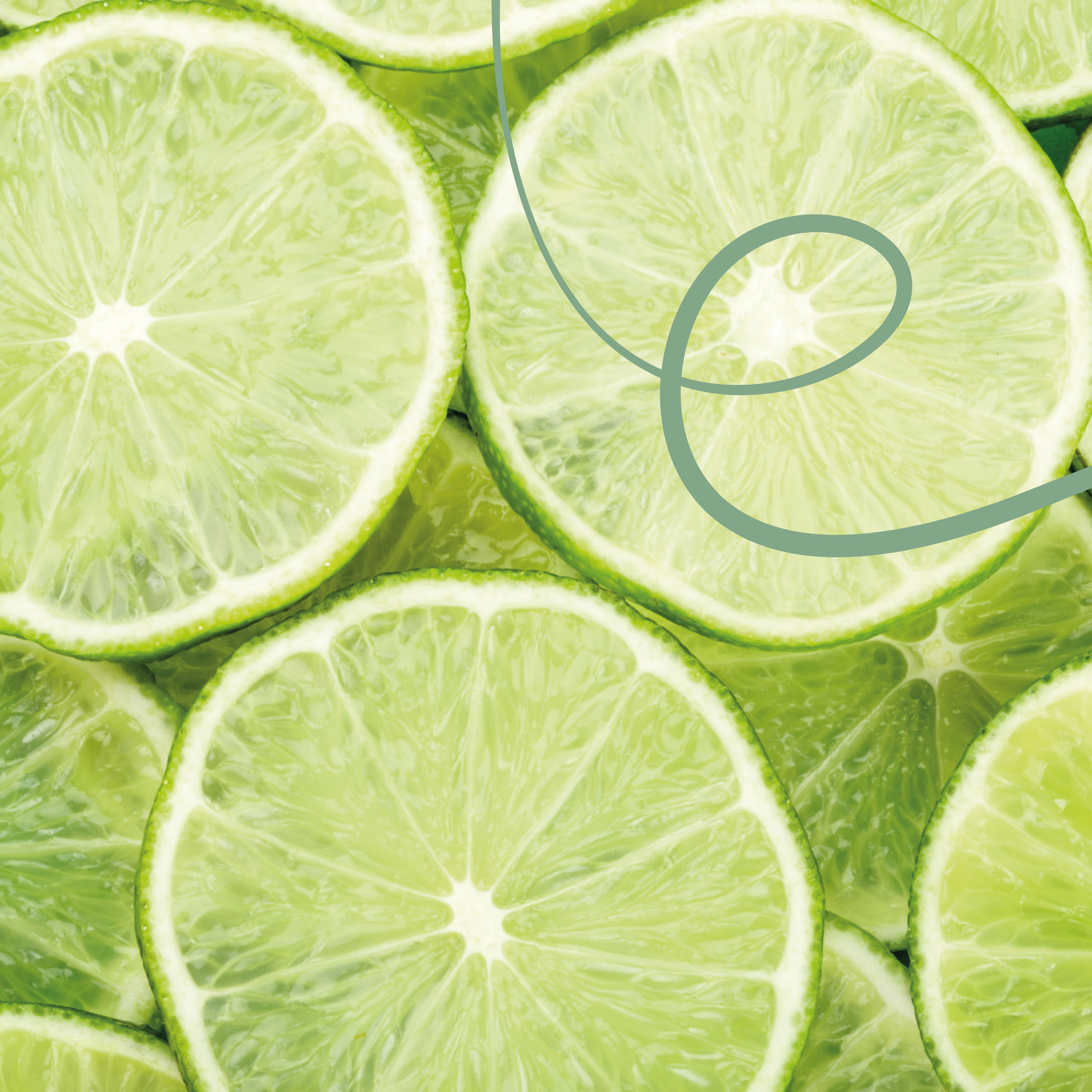 Honduras Finca El Puente Batian