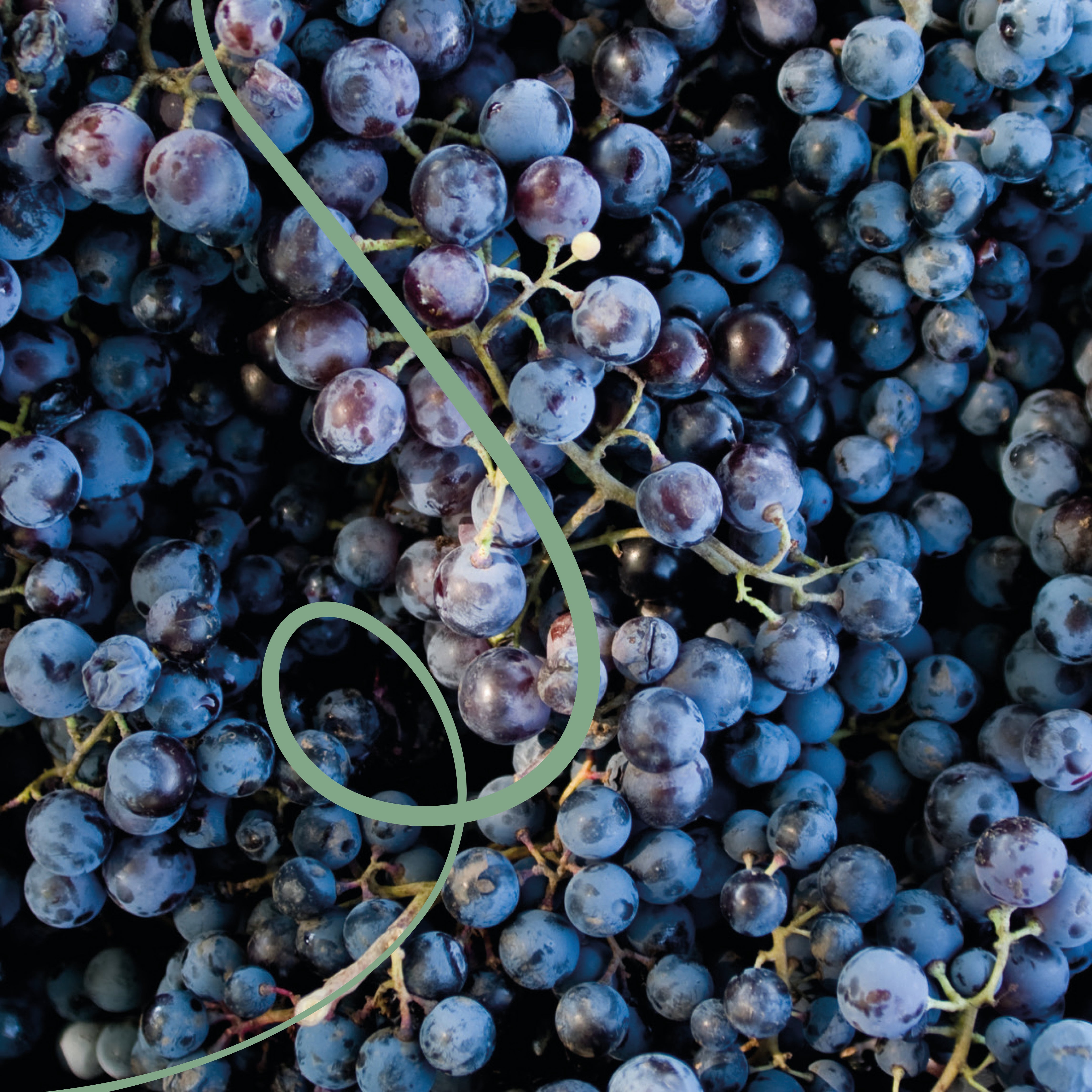 Sumava de Lourdes Costa Rica