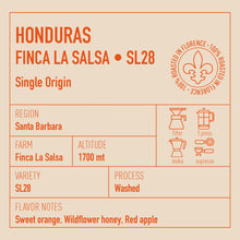 Carica l&#39;immagine nel visualizzatore di Gallery, HONDURAS FINCA LA SALSA SL28
